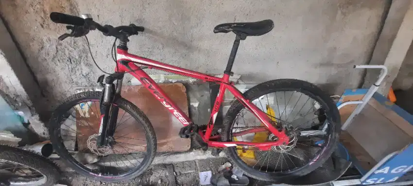 Sepeda gunung / MTB bekas