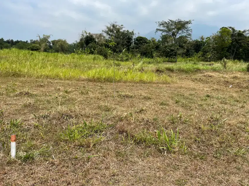 Dijual Tanah Daerah Dayurejo Prigen Pasuruan