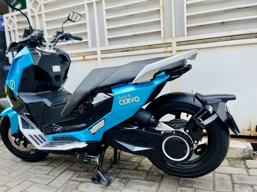Alva Cervo CBS 2023 Mulus