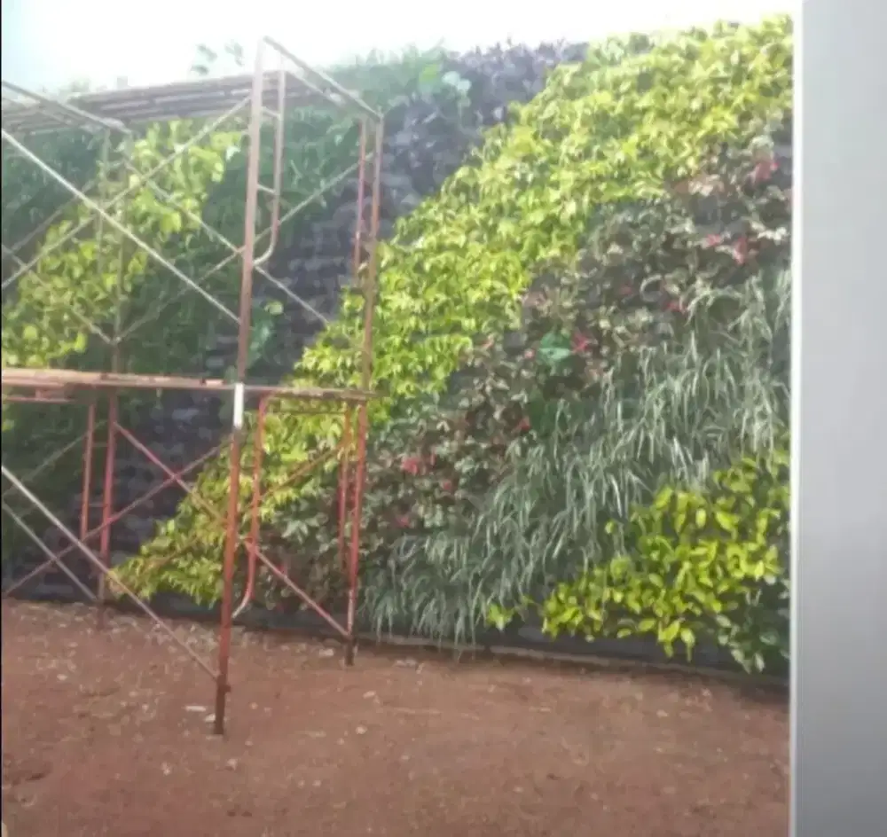 Pembuatan Taman Vertical Garden