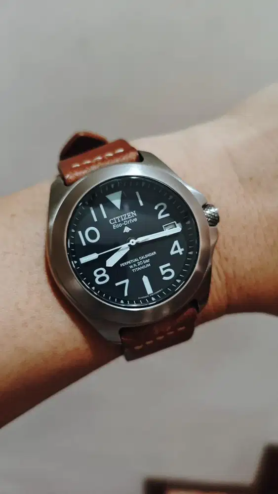 Citizen Promaster Tough Perpetual