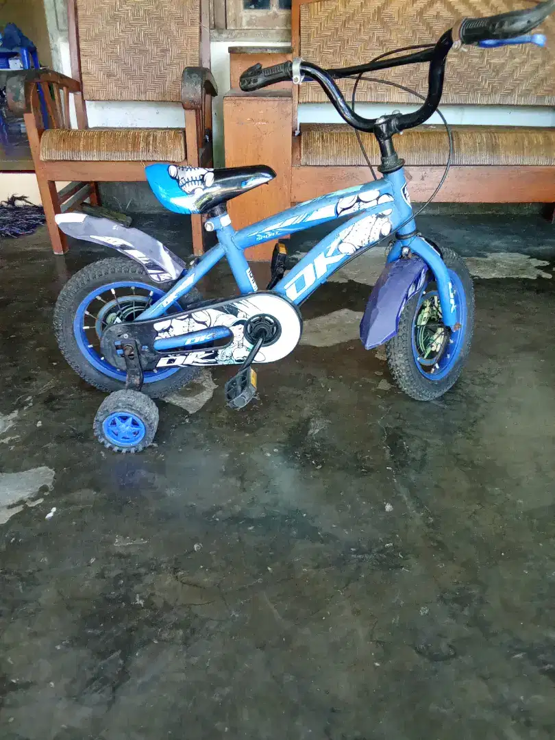 12 San dk bike murah