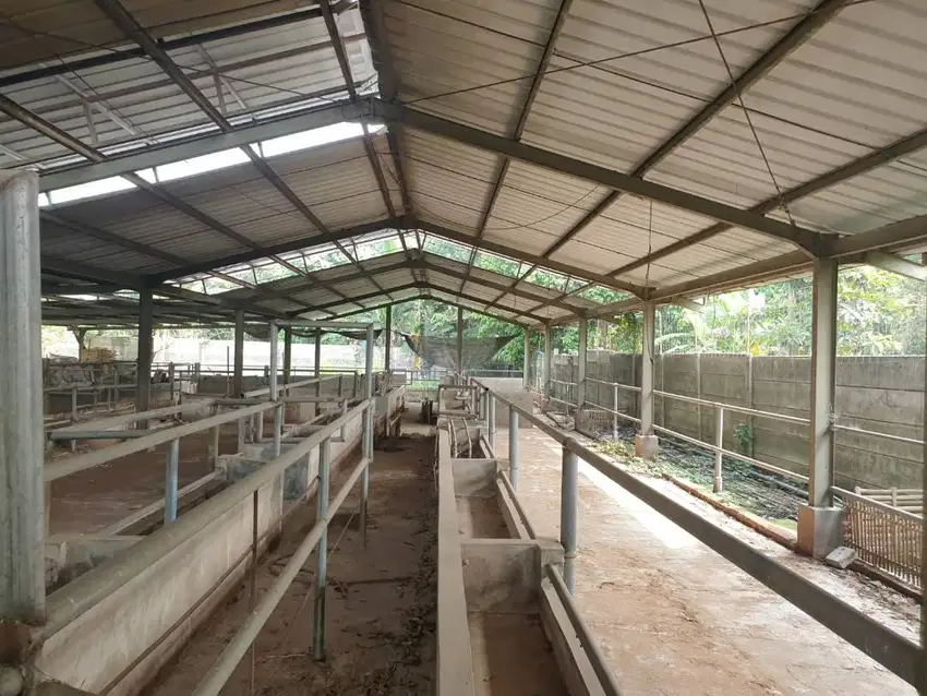 Tanah dan Bangunan Kandang Sapi 2,000 sqm