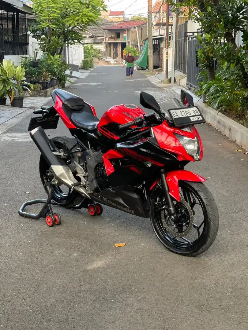 Kawasaki Ninja Mono 250 SL 2017