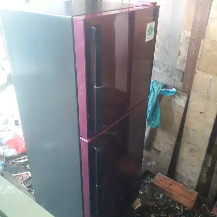 Kulkas sharp 2 pintu