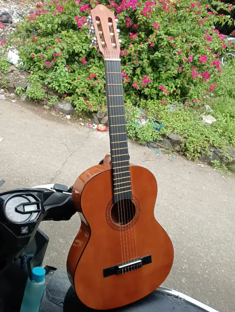 Gitar Clasik Yamaha C315 costom ,new