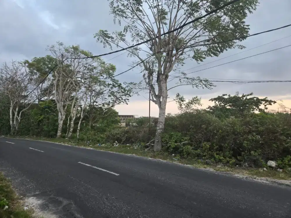 Disewakan lahan 10 are jln utama pantai melasti