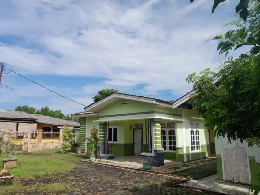 1 rumah induk 1 paviliun dan 1 rumah buat usaha