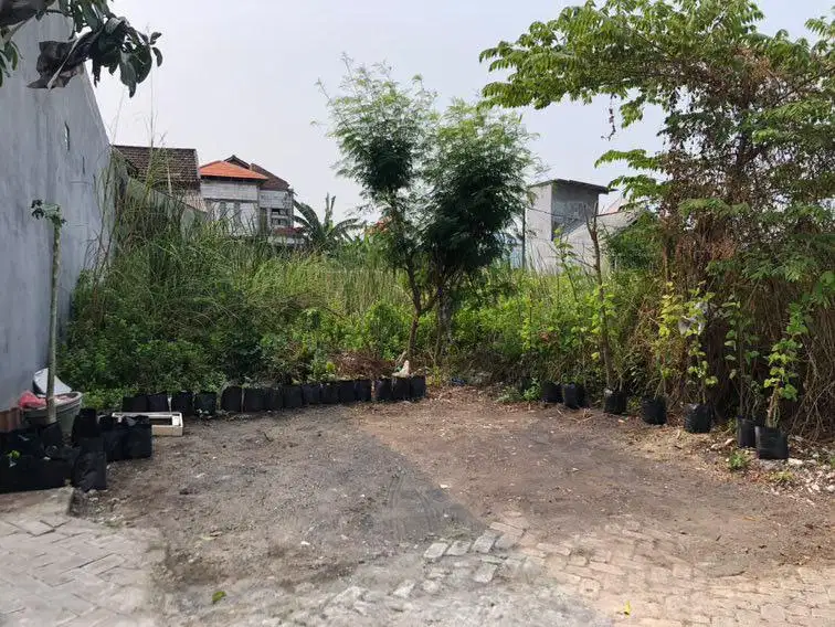 ‼️JUAL MURAH‼️COCOK DIKAVLING TANAH BUNCITAN SEDATI SIDOARJO