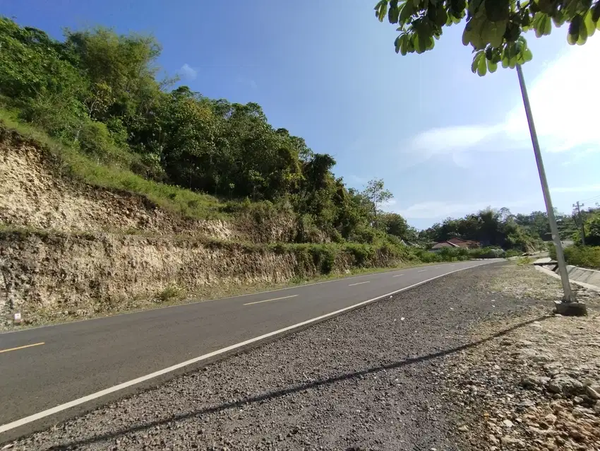 Tanah shm luas 5740m² pinggir jalan aspal Girisubo