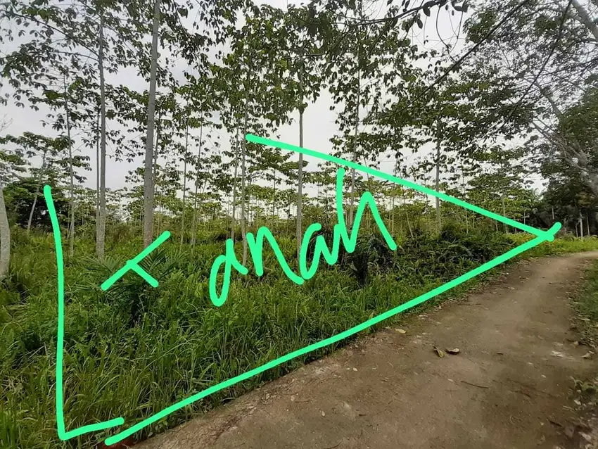 Jual tanah muaro jambi