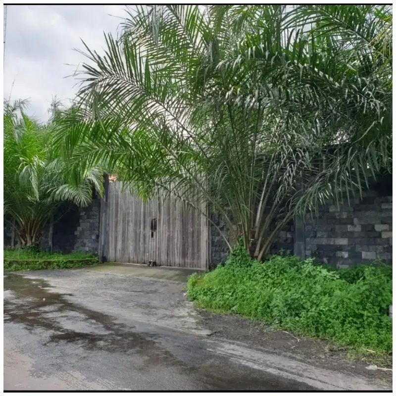 RUMAH TAMAN UNTUK RESTO