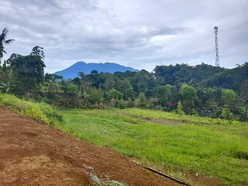 Tanah Di Puncak Luas 440 M2 Ketinggian 900mdpl