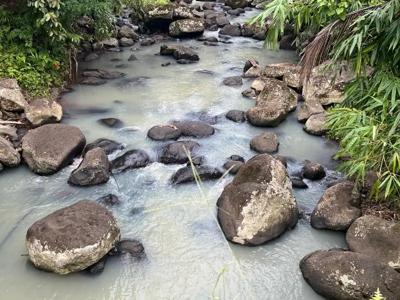 jual kebun durian los sungai murah di tabanan bali.