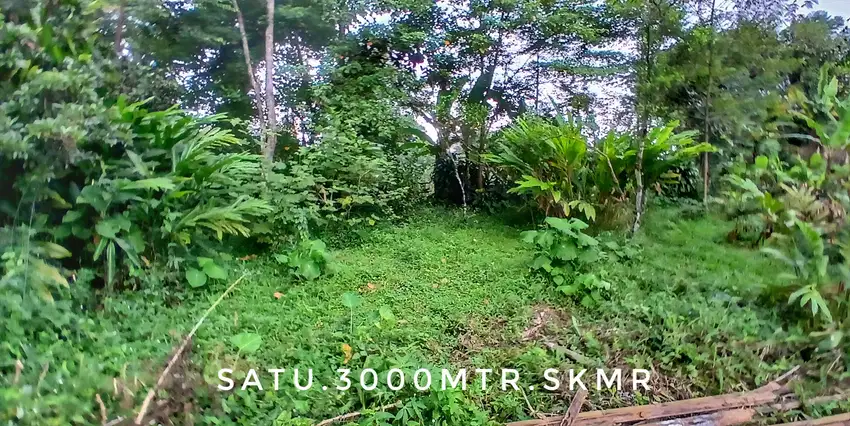 Dijual tanah luas pinggir jalan strategis subur dekat kota