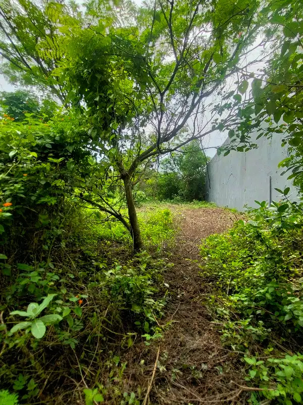 Dijual kavling dalam kawasan industri lokasi strategis