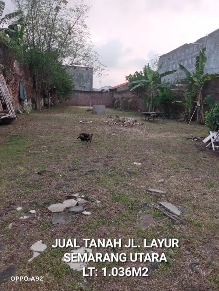 DIJUAL TANAH JL. LAYUR SEMARANG DEKAT JOHAR & KOTA LAMA