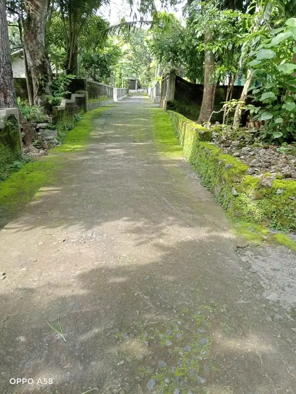 dijual tanah pekarangan 120m ld 7m  hrg  120jt di manisrenggo