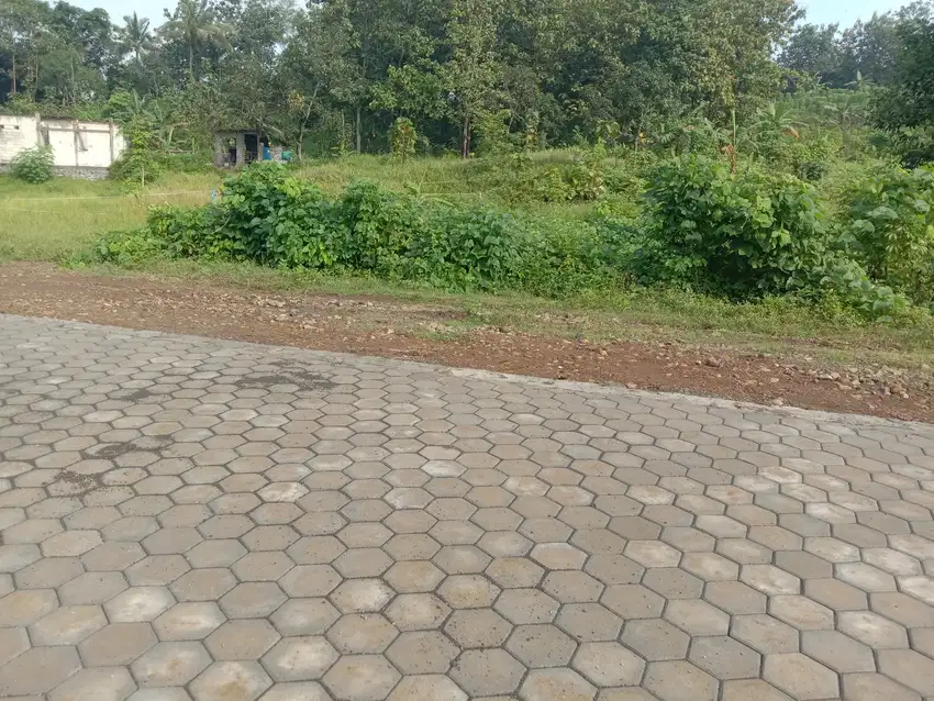 Tanah kapling murah