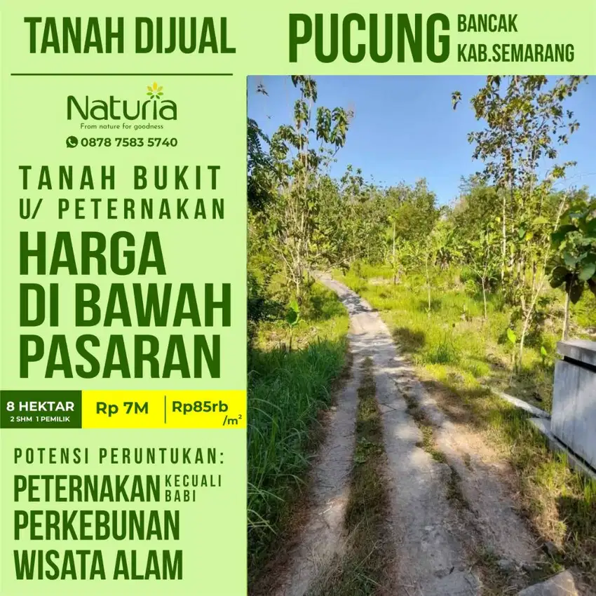 dijual tanah murah perbukitan salatiga semarang peternakan view indah