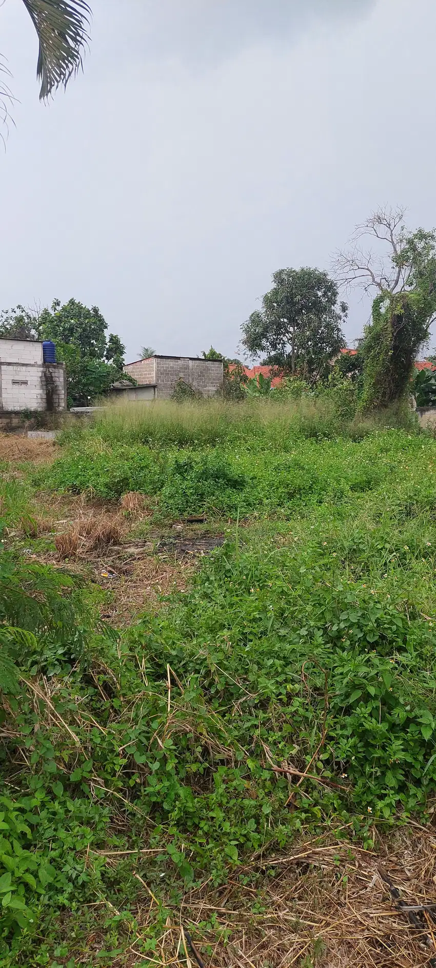 Di Jual Cepat Tanah Uk 2.700 m2 Strategis Di Cipondoh
