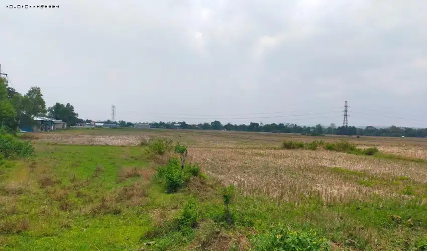 Tanah Nol Jalan Raya  Suramadu, Butuh Laku Segera, Strategis