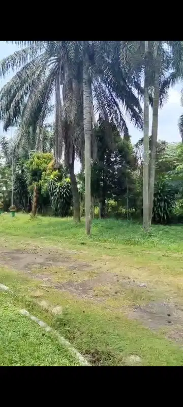 Tanah dijalan provinsi gunung sindur