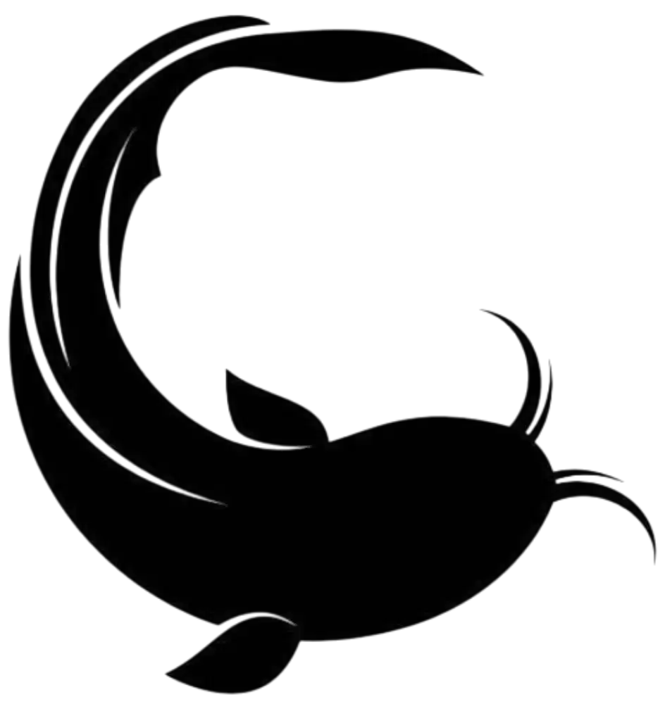 Jual bibit lele konsumsi ukuran 7 - 8