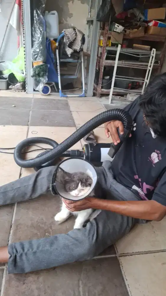 Grooming terdekat anjing kucing home service