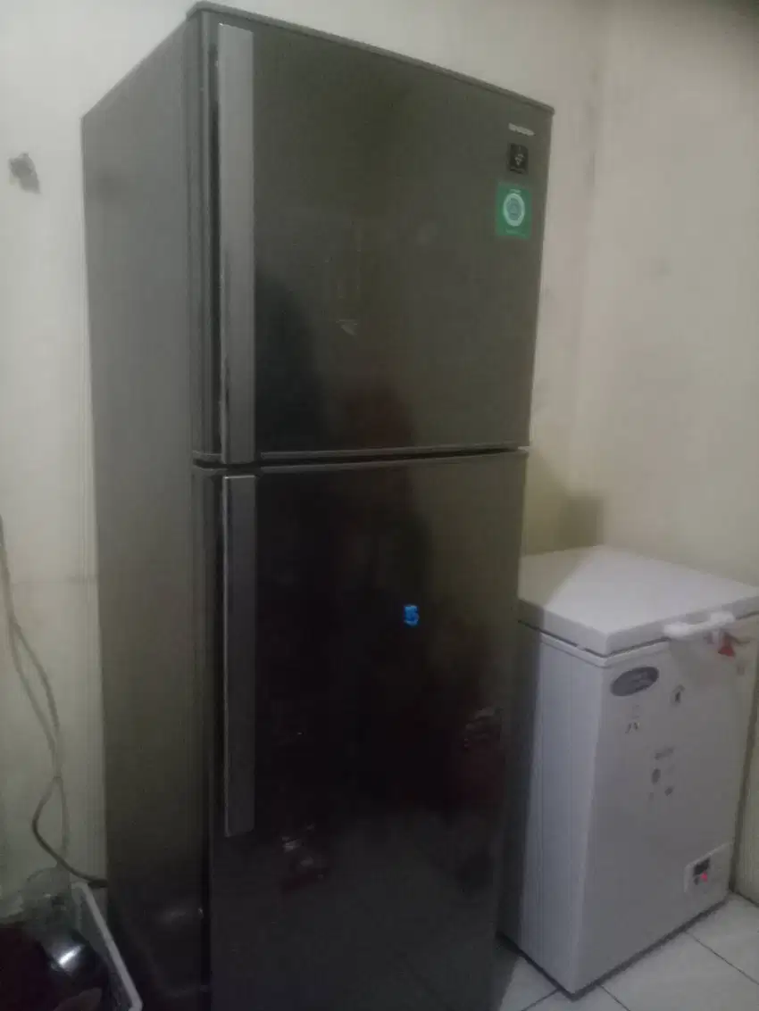 Kulkas sharp dua pintu