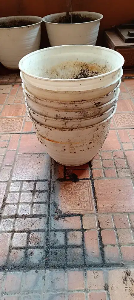 Jual pot seken tawon dan yogap