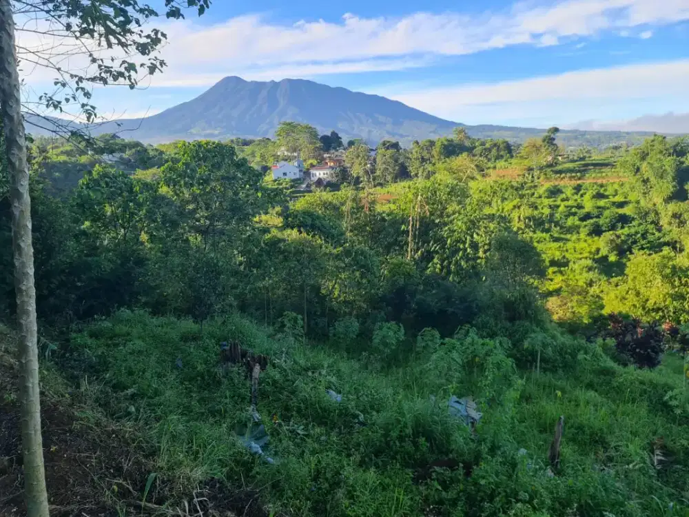 TANAH CISARUA PUNCAK