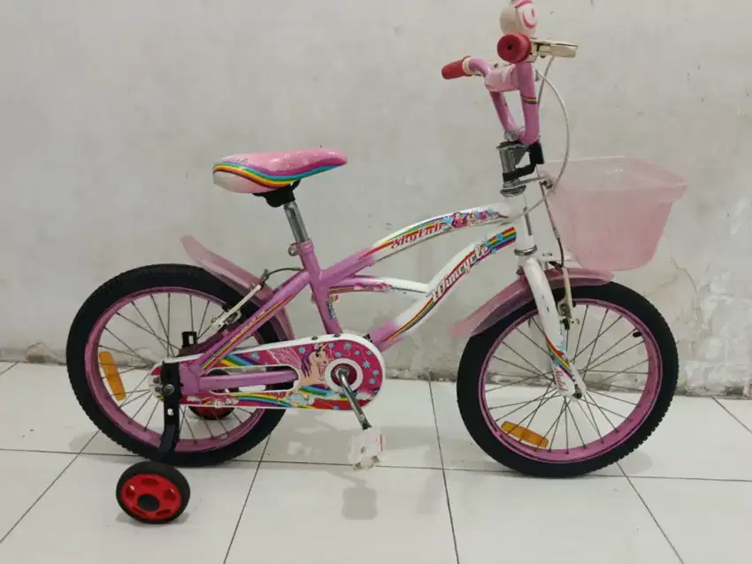 Wimcycle skylab ukuran 18