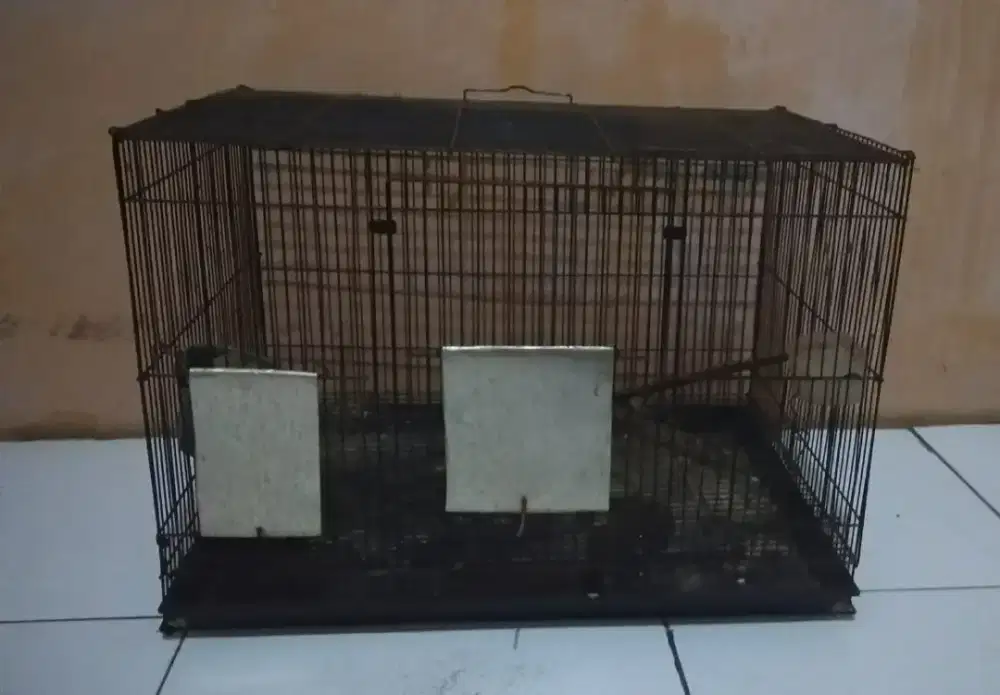 Kandang kotak ternak