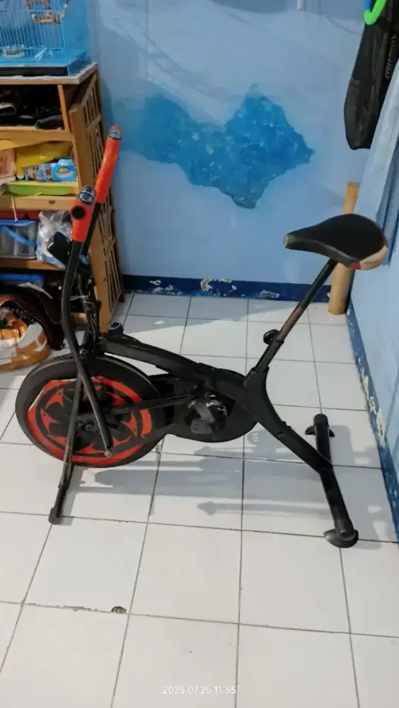 Sepeda Statis Platinum Bike