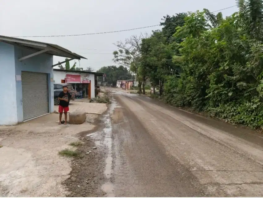 Disewakan tanah