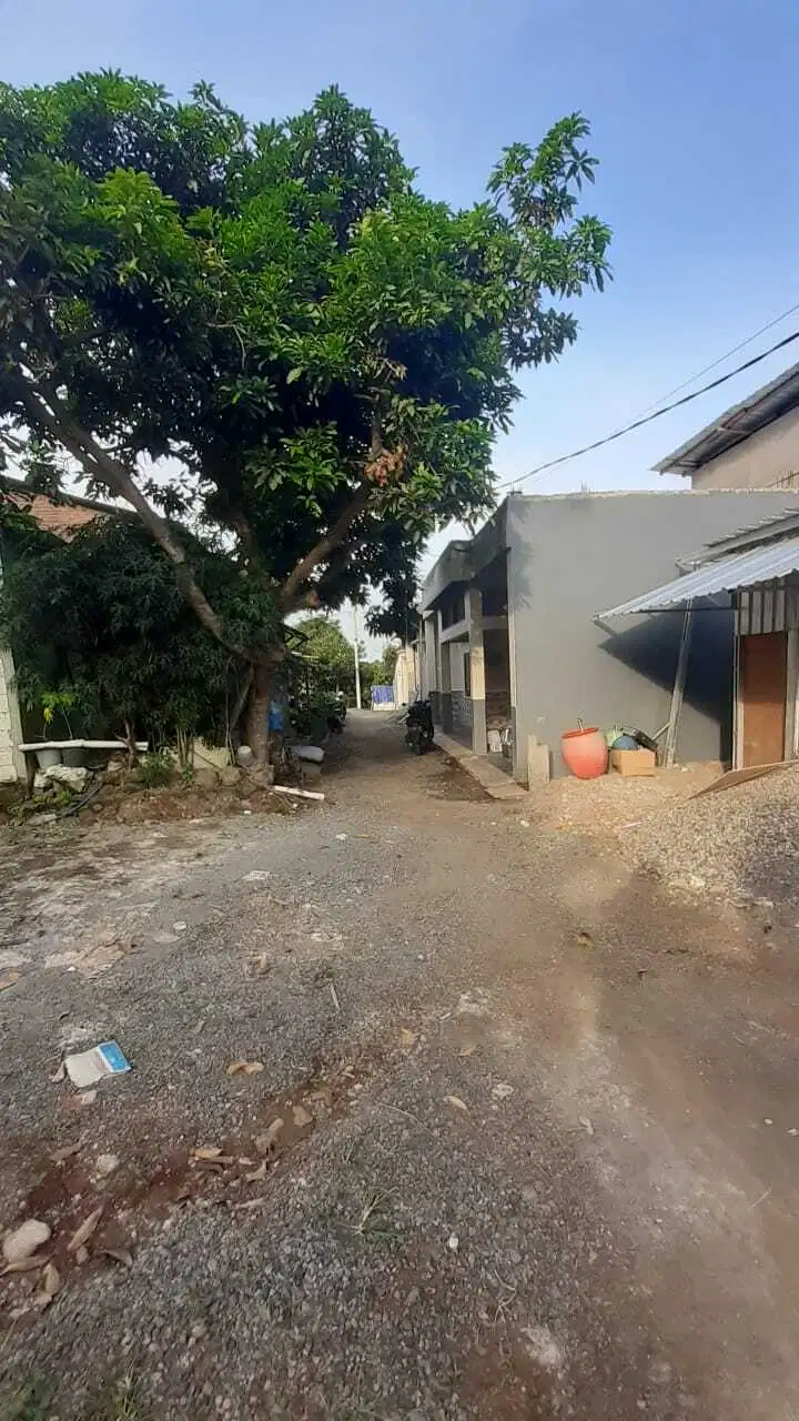 Tanah Tembalang Bulusan Undip