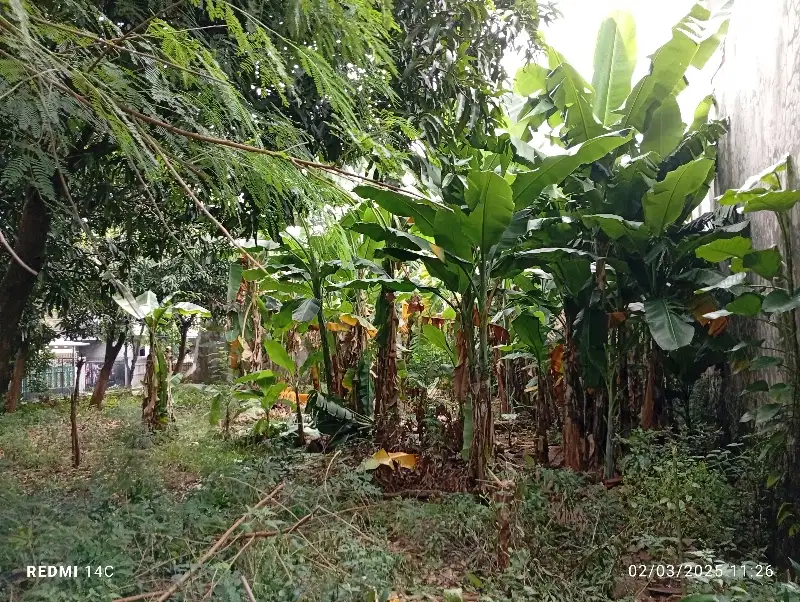 TANAH DARAT SIAP BANGUN 400M² SHM DALAM KOMPLEK - PONDOK KELAPA