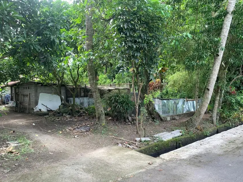 Dijual Tanah Pekarangan Murah di Jogotirto Berbah Sleman