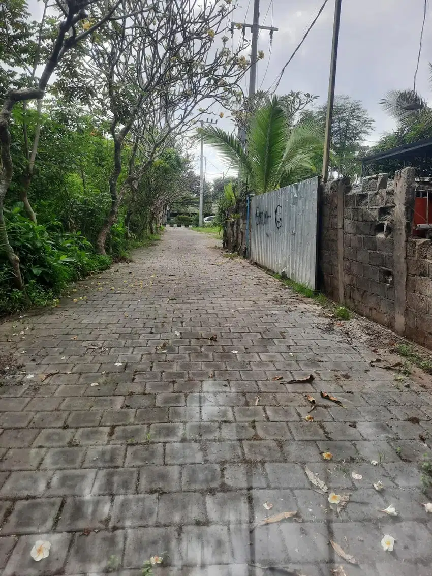 Jual Tanah Luas 6 are Lokasi Sanur dekat Pantai Matahari Terbit