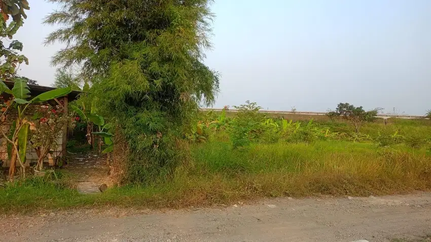 Dijual Cepat Tanah Di Driyorejo