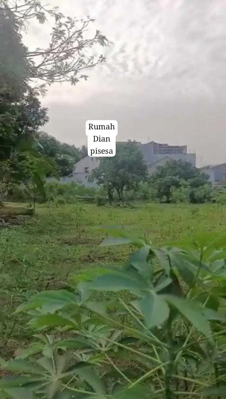 Dijual Cepat Tanah Di Lebak Bulus Jakarta Selatan