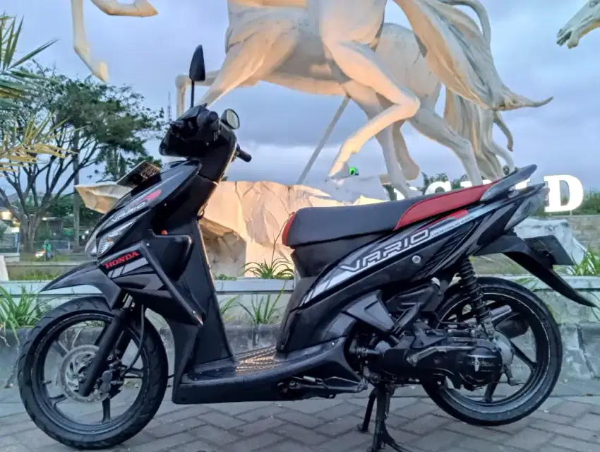 Vario 110 lengkap, Hidup 2028