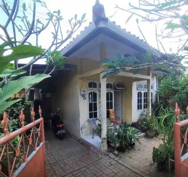 Tanah GLOBAL 243M2 Isi Bangunan di Buduk Pengayutan dkt Padonan