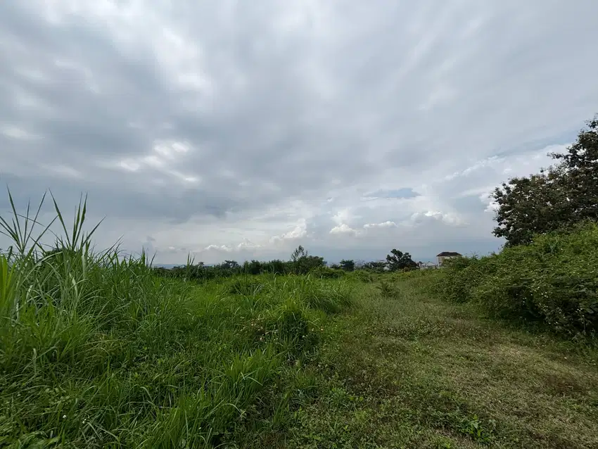 Tanah Kavling Strategis di Landungsari Dekat Pondok Thursina