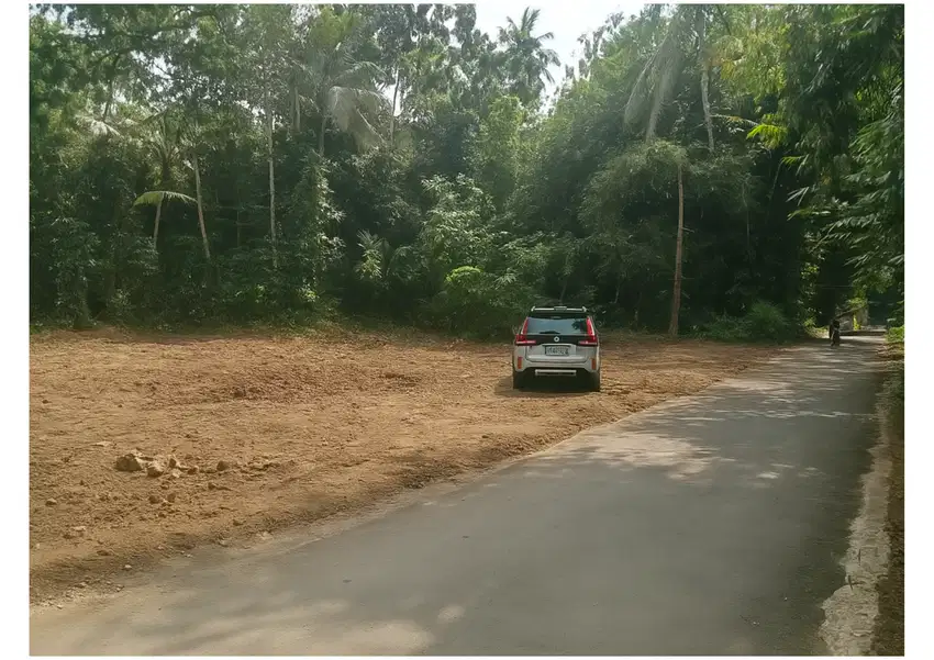 150 Juta Tanah Di Jalan Magelang Dekat Pasar Sleman