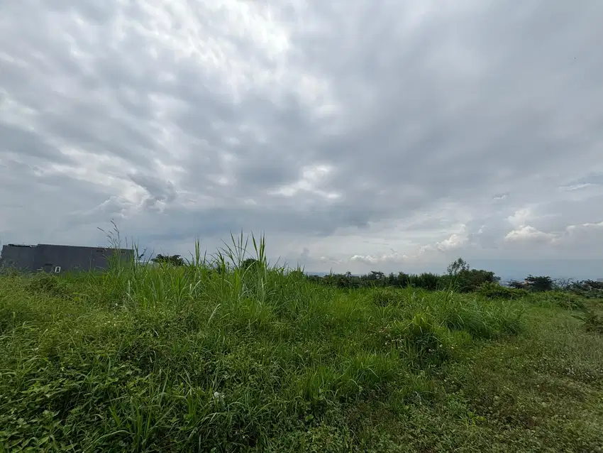 Tanah Murah Landungsari, Pilihan Tepat Dekat Pondok Thursina