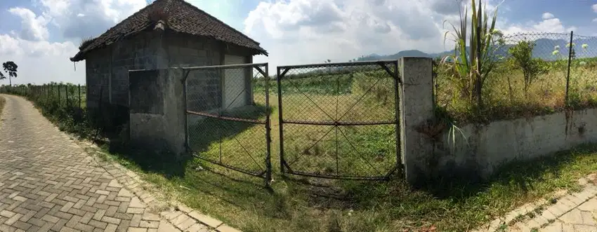 Dijual Cepat Tanah Kebun Jeruk di Kec. Tutur Pasuruan.  1,7 ha Nego