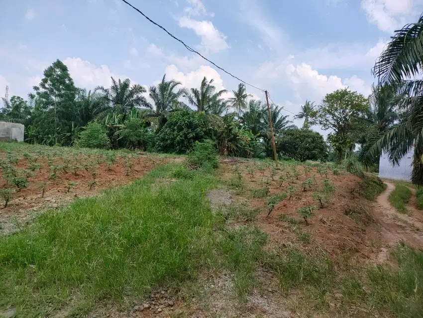 Dijual Tanah 1 Hekta di Deliserdang, Sinembah Medan
