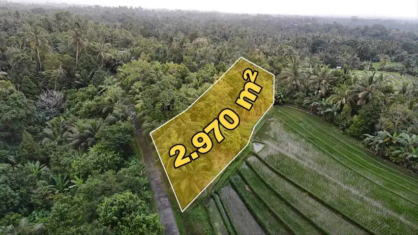 Beautiful Land Ocean and Rice Field View Selamadeg Tabanan Bali